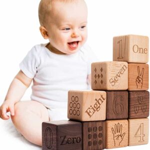Wooden Cube Picture Alphabet Blocks